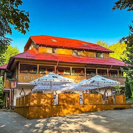 Pensiunea Retezat Campu Lui Neag Uricani  Extérieur photo