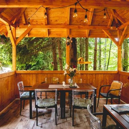 Pensiunea Retezat Campu Lui Neag Uricani  Extérieur photo