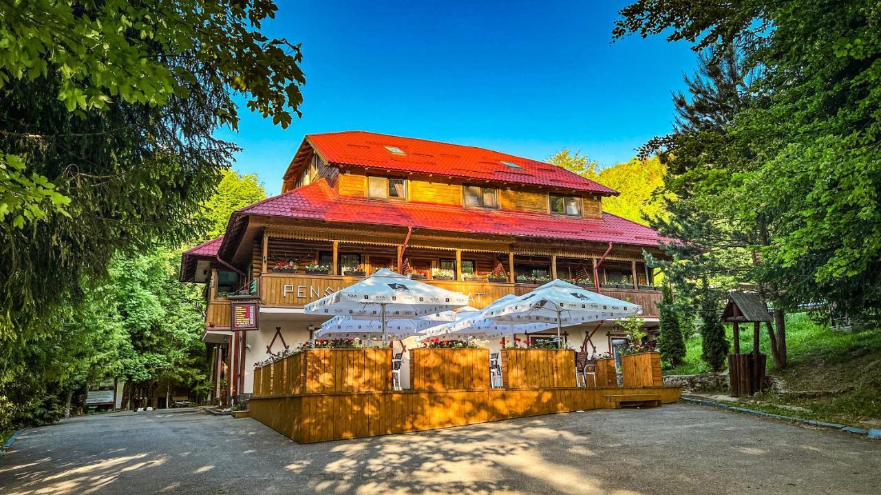 Pensiunea Retezat Campu Lui Neag Uricani  Extérieur photo