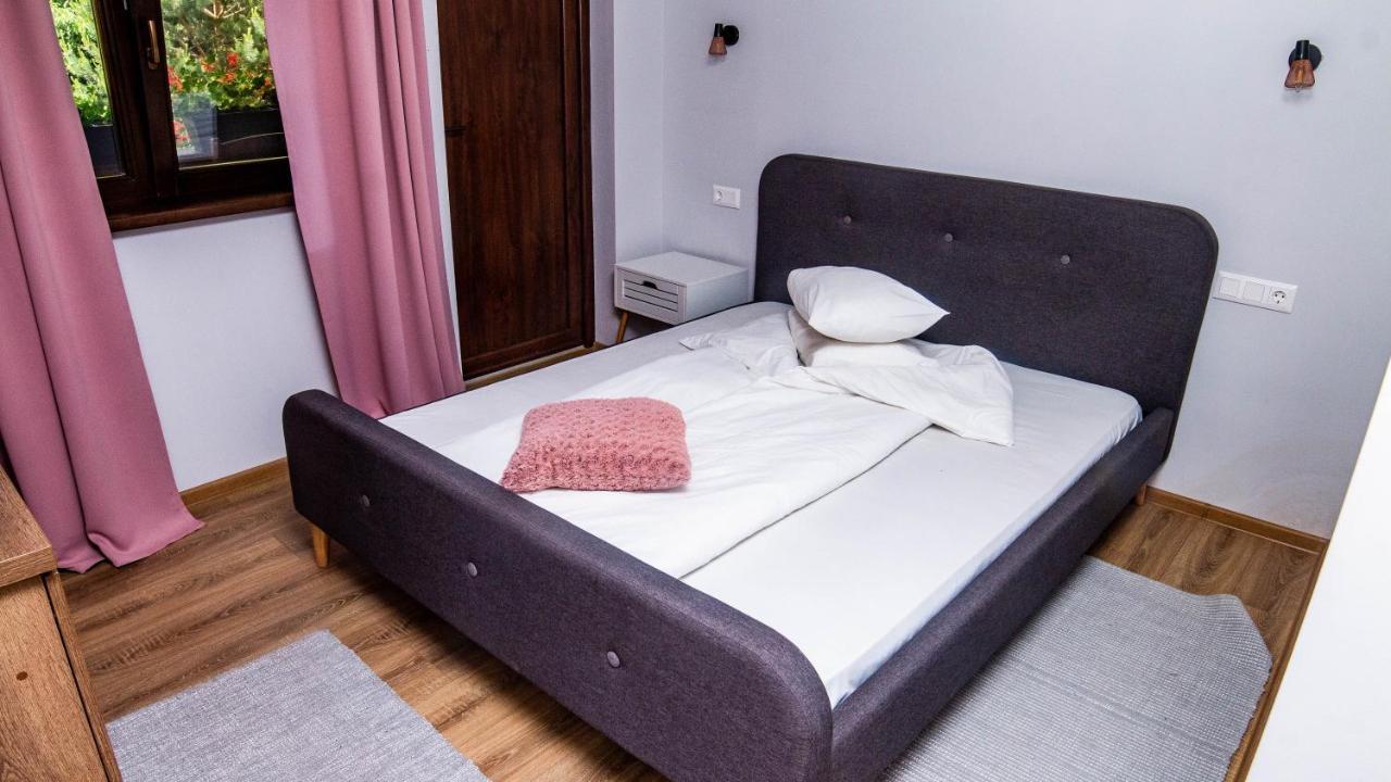 Pensiunea Retezat Campu Lui Neag Uricani  Extérieur photo