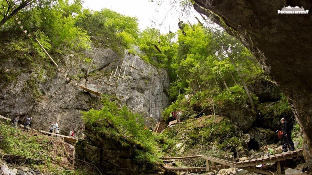 Pensiunea Retezat Campu Lui Neag Uricani  Extérieur photo