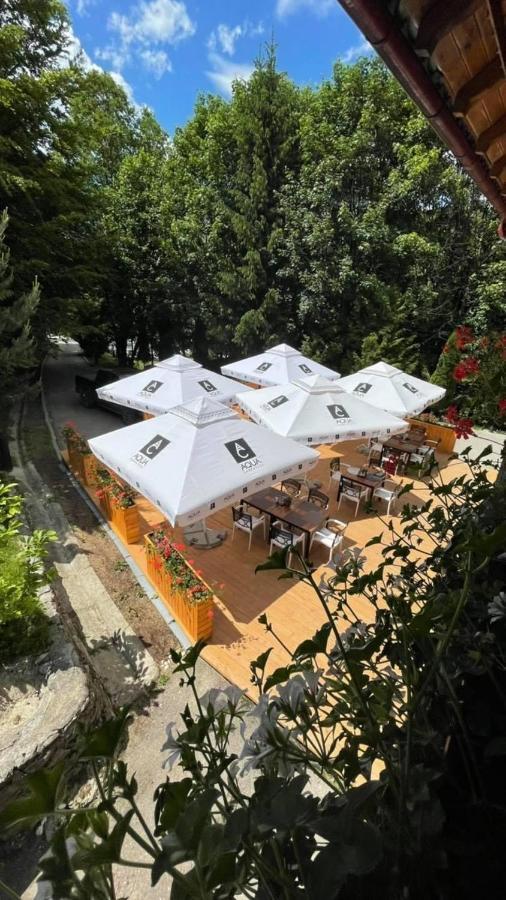 Pensiunea Retezat Campu Lui Neag Uricani  Extérieur photo