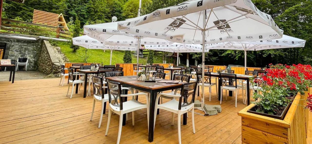 Pensiunea Retezat Campu Lui Neag Uricani  Extérieur photo
