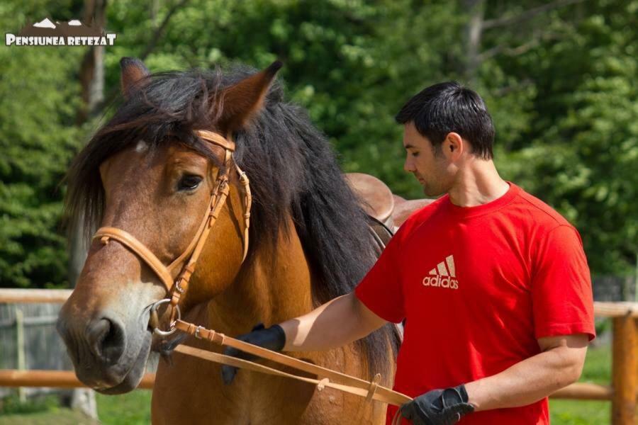 Pensiunea Retezat Campu Lui Neag Uricani  Extérieur photo