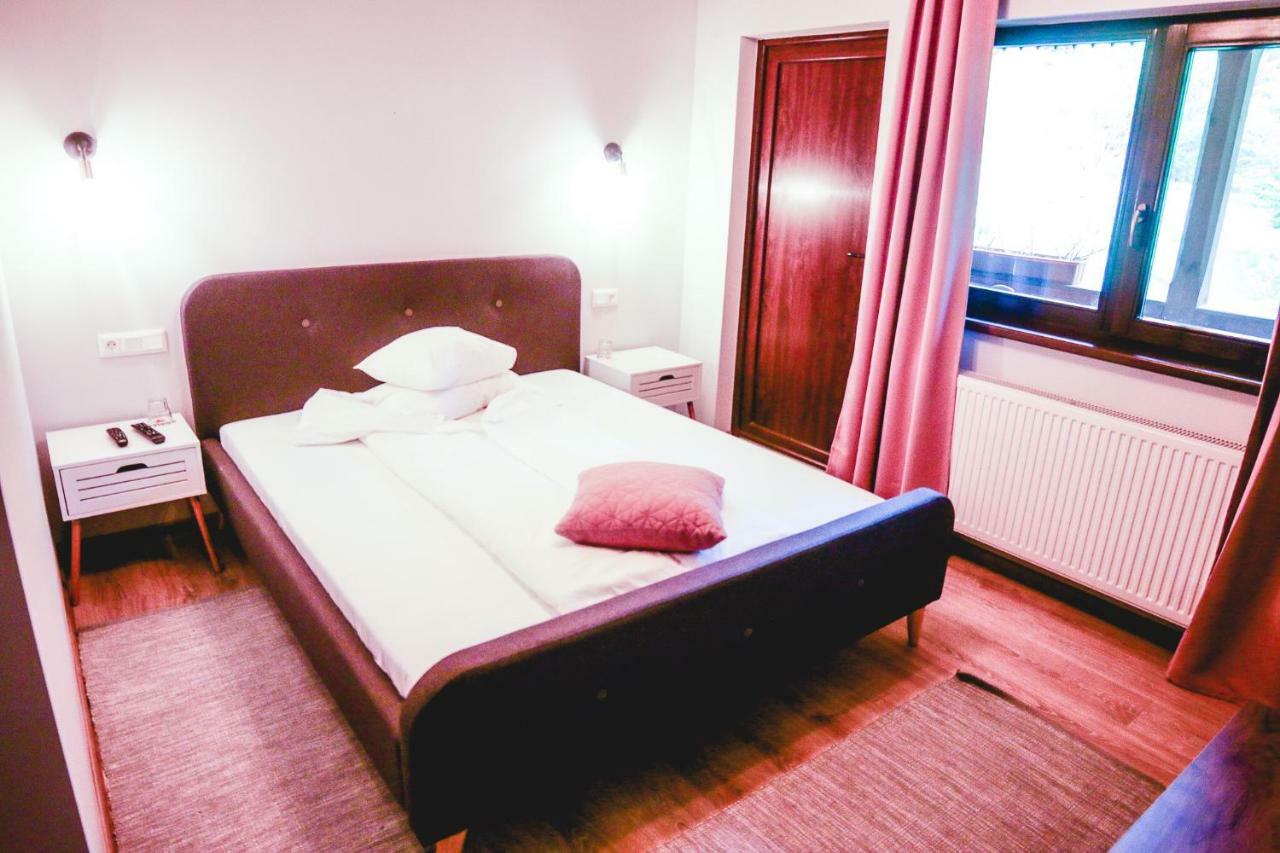 Pensiunea Retezat Campu Lui Neag Uricani  Extérieur photo